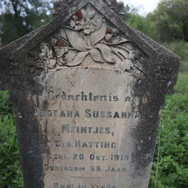 MEINTJES Jodeana Susanna nee HATTINGH -1919