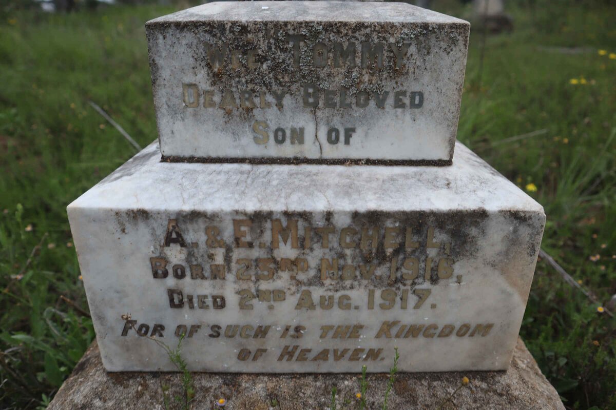 MITCHELL Tommy 1916-1917