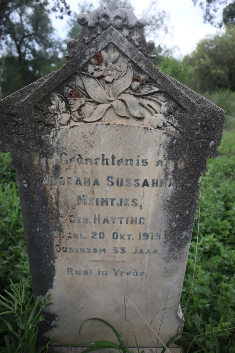 MEINTJES Jodeana Susanna nee HATTINGH -1919