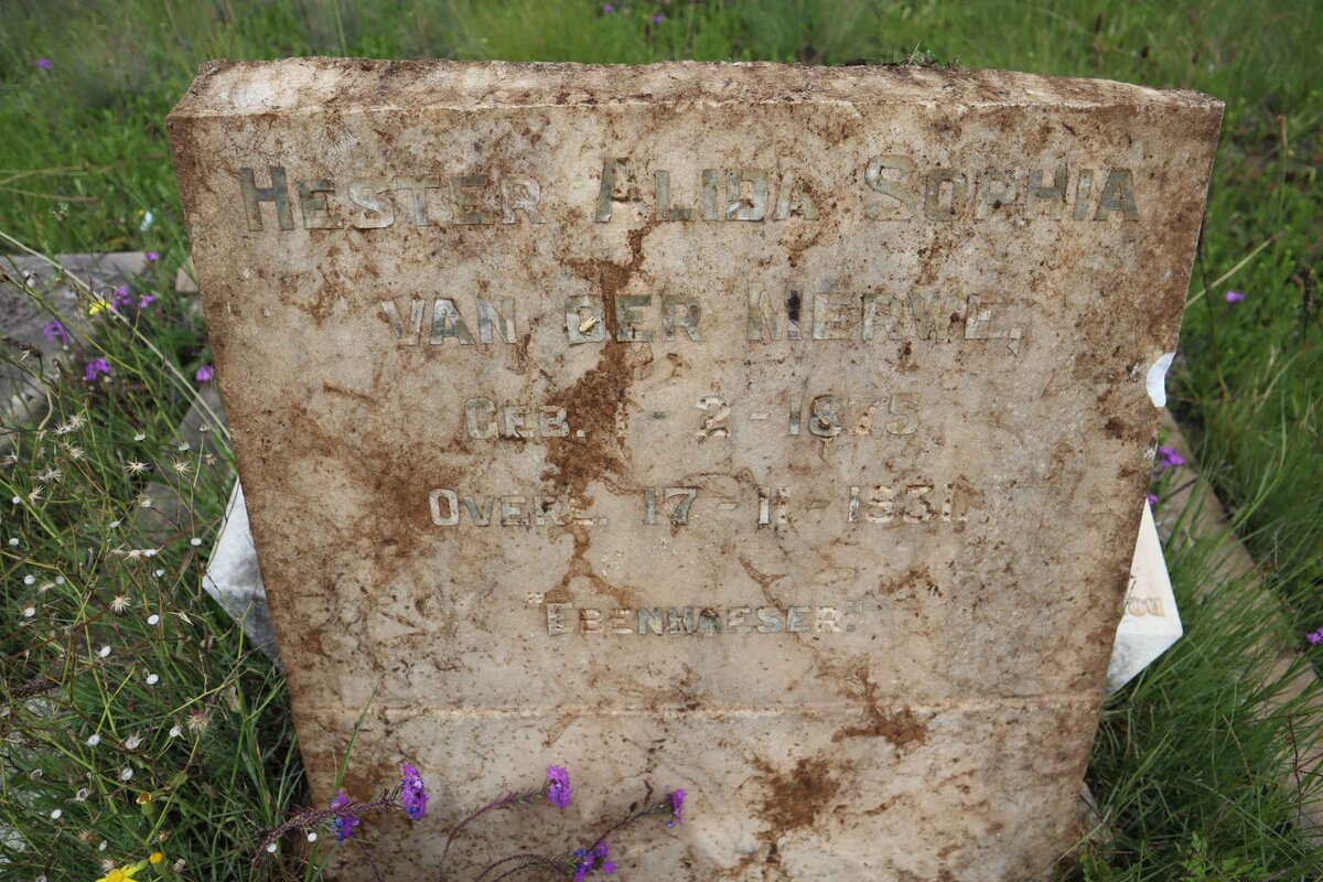 MERWE Hester Alida Sophia, van der 1875-1931