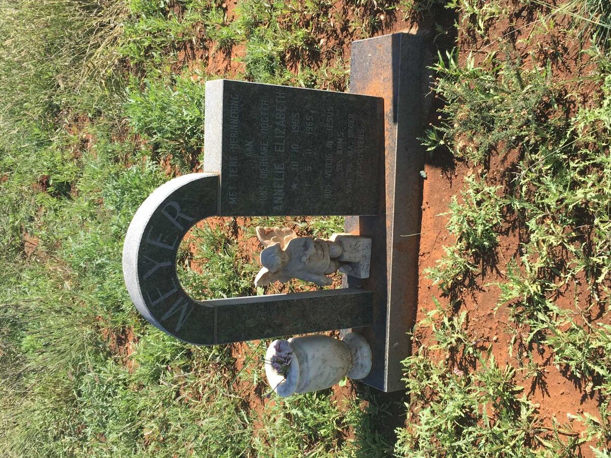 MEYER Annelie Elizabeth 1965-1965