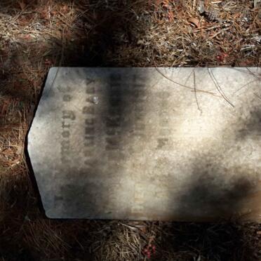 McKENZIE ? 1916 -1917