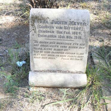 MEYER Anna Judith nee VAN SITTERT 1864-1919