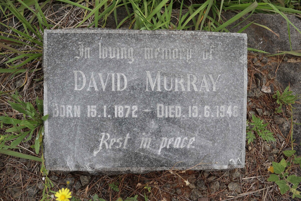 MURRAY David 1872-1948