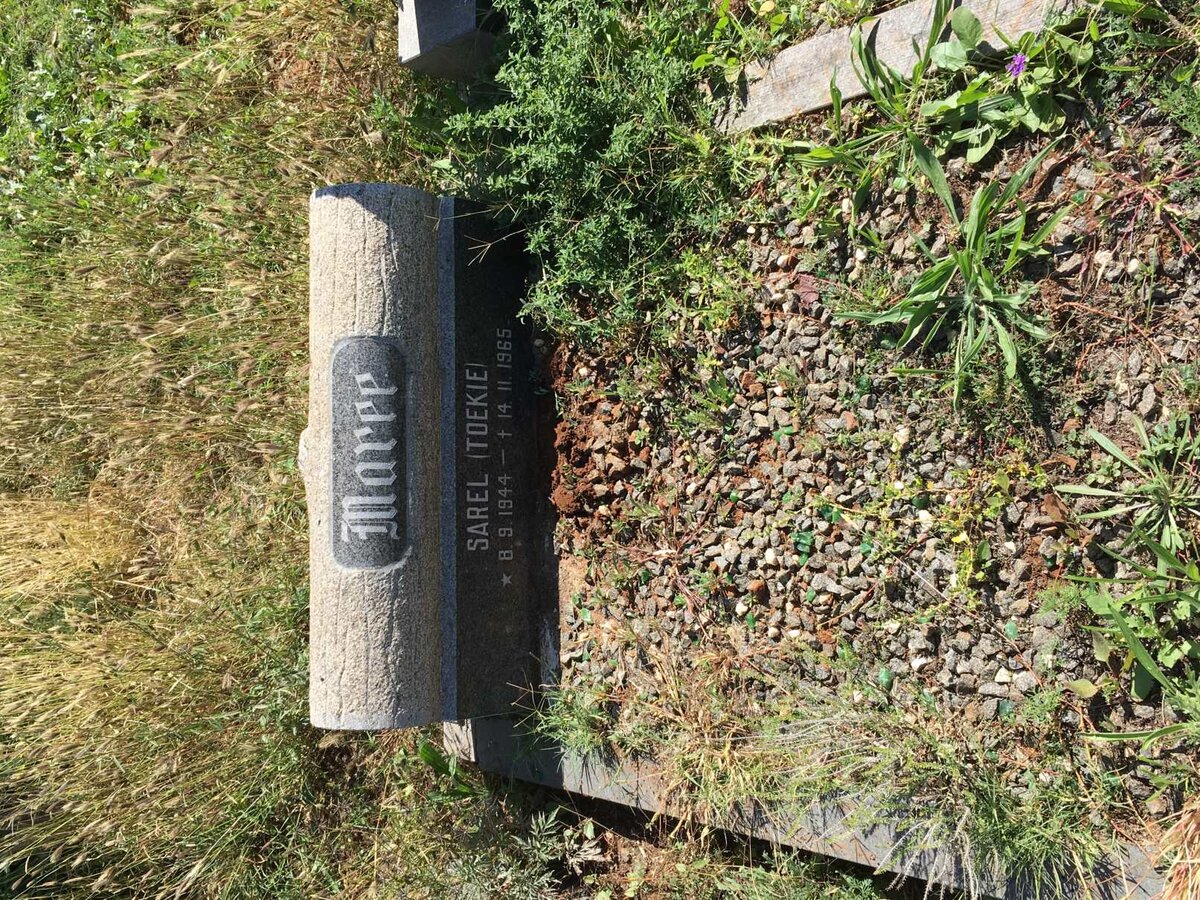 MAREE Sarel 1944-1965