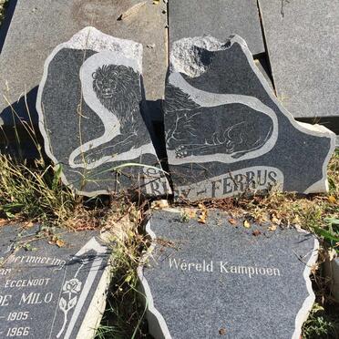 MILO Hercules, de 1905-1966 &amp; Eastlynne Morova VAN ZYL 1921-2001