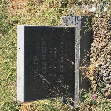 MERWE Willem J., van der 1966-1966