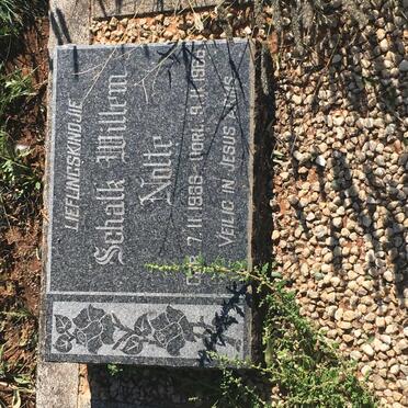 NOLTE Schalk Willem 1966-1966