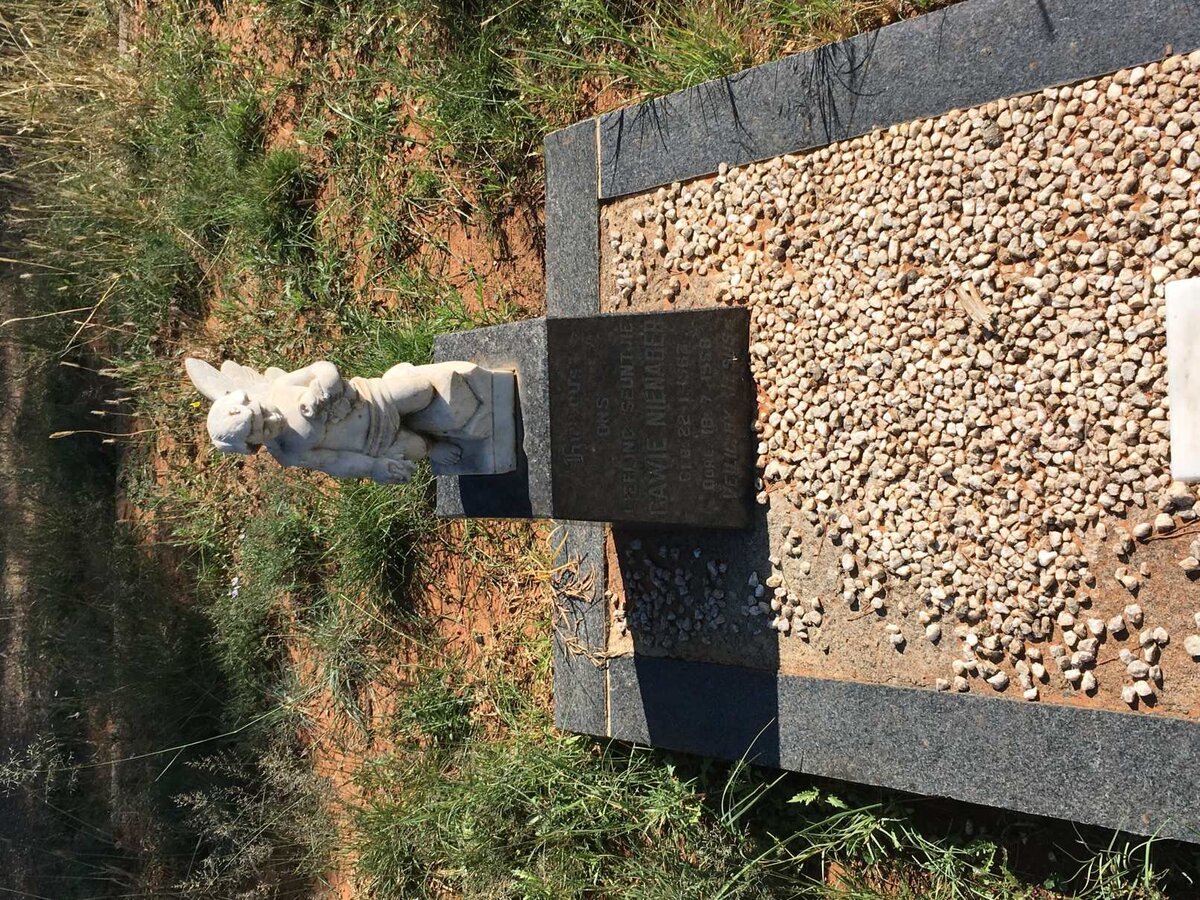 NIENABER Gawie 1962-1968