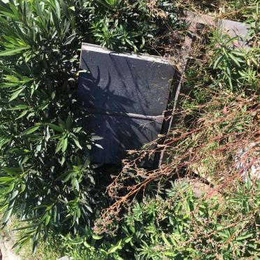 NIEKERK Joachim Jan, van -1966 &amp; Emily Mary Amelda 1912-1972