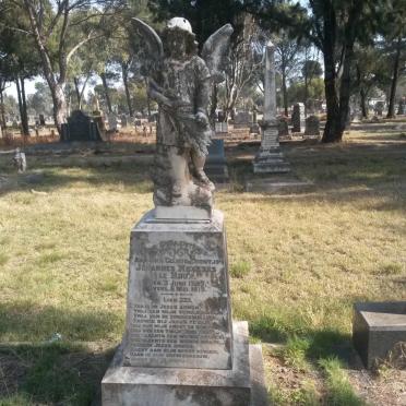 ROUX Johannes Nicolaas, le 1909-1919