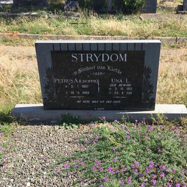 STRYDOM Petrus A. 1907-1993 &amp; Una L. NEWING 1915-2011