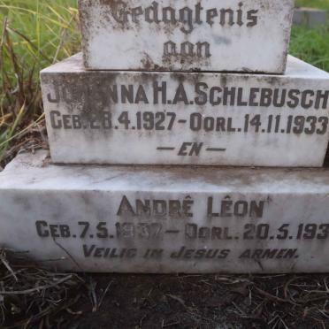 SCHLEBUSCH Johanna H.A. 1927-1933 :: SCHLEBUSCH Andre Leon 1937-1937