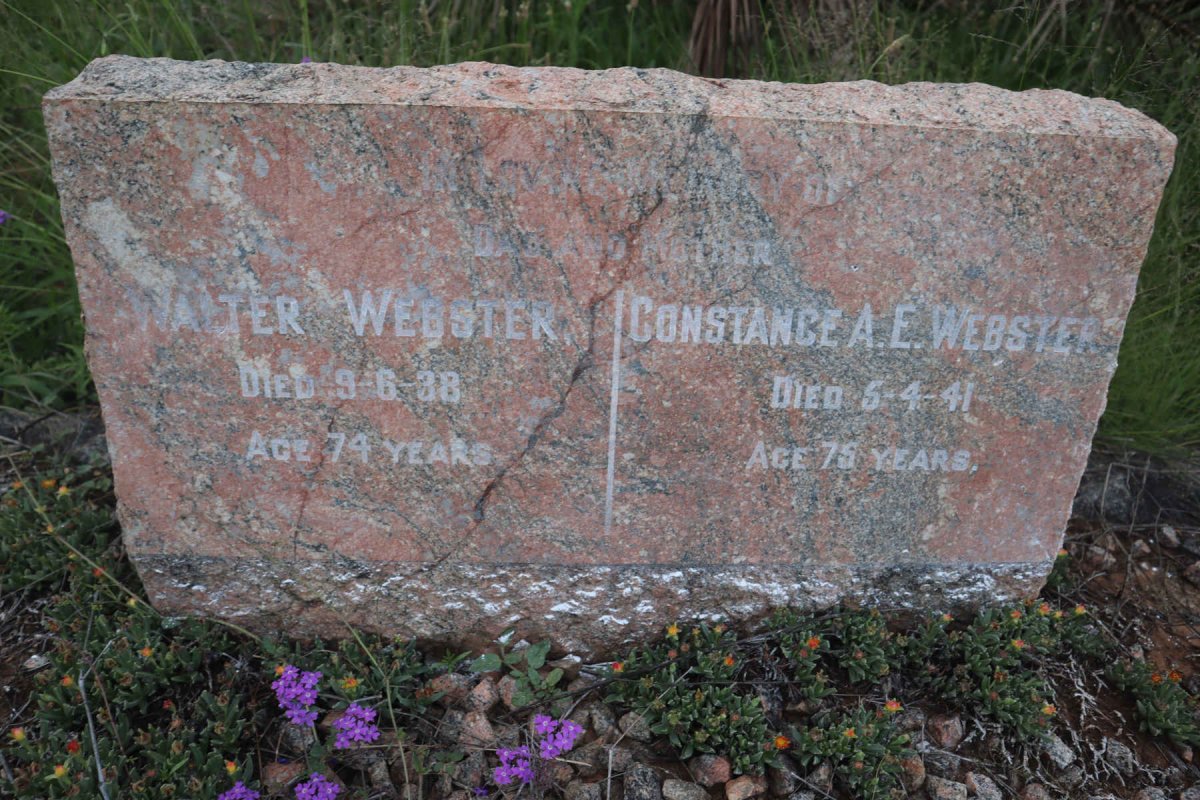 WEBSTER Walter -1988 &amp; Constance A.E. -1941