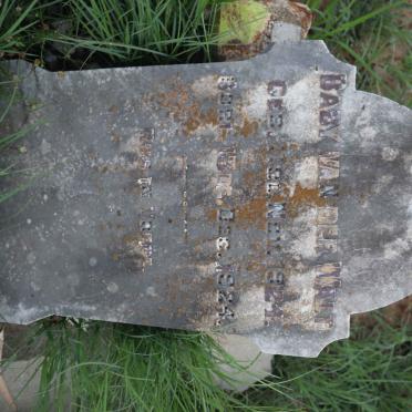 WALT, van der 1924-1924