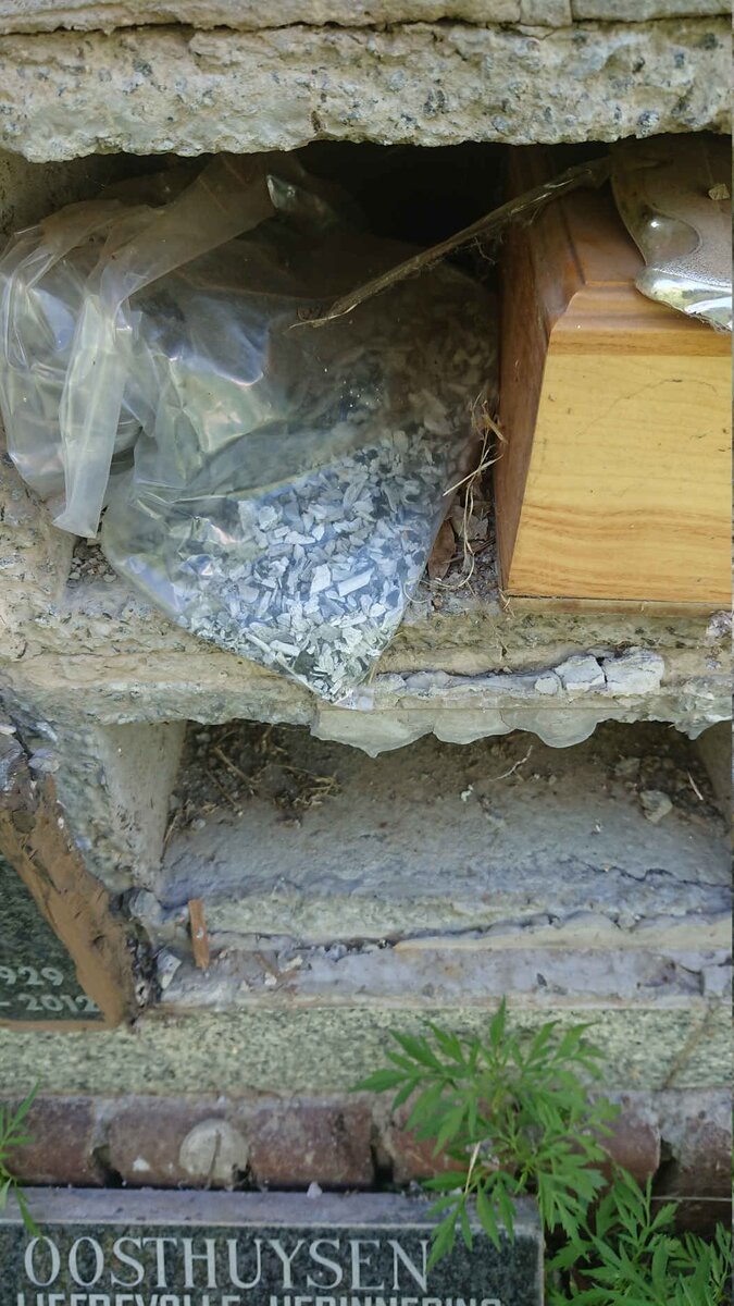 7. Vandalism / Vandalisme