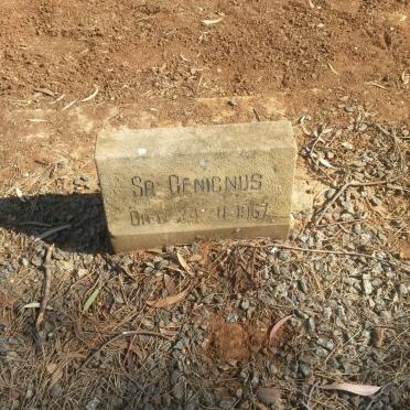 O'RIORDAN Benignus -1967