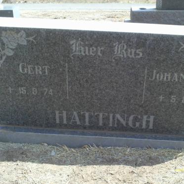 HATTINGH Gert -1974 :: HATTINGH Johannes -1980