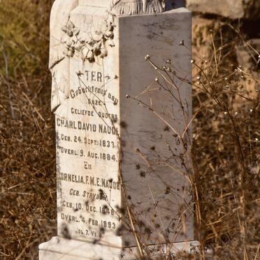 Free State, BETHLEHEM district, Bethlehem, Eendvogelvley 72, farm cemetery
