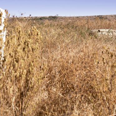 2. Overview / Oorsig