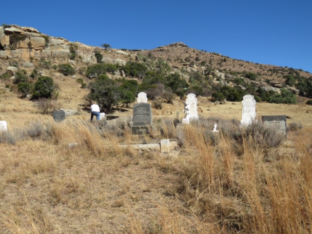 1. Overview / Oorsig