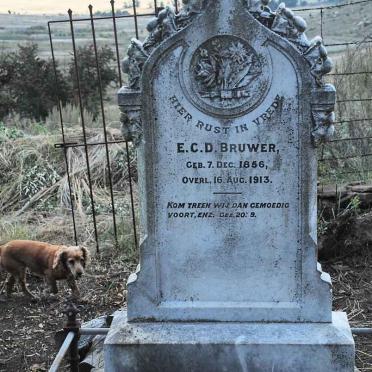 BRUWER E.C.D. 1856-1913