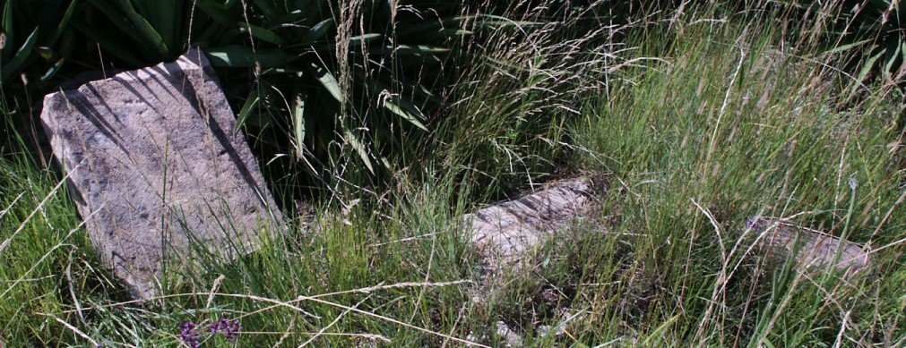 HEERDEN Cornelius Johannes Petrus, van -1931