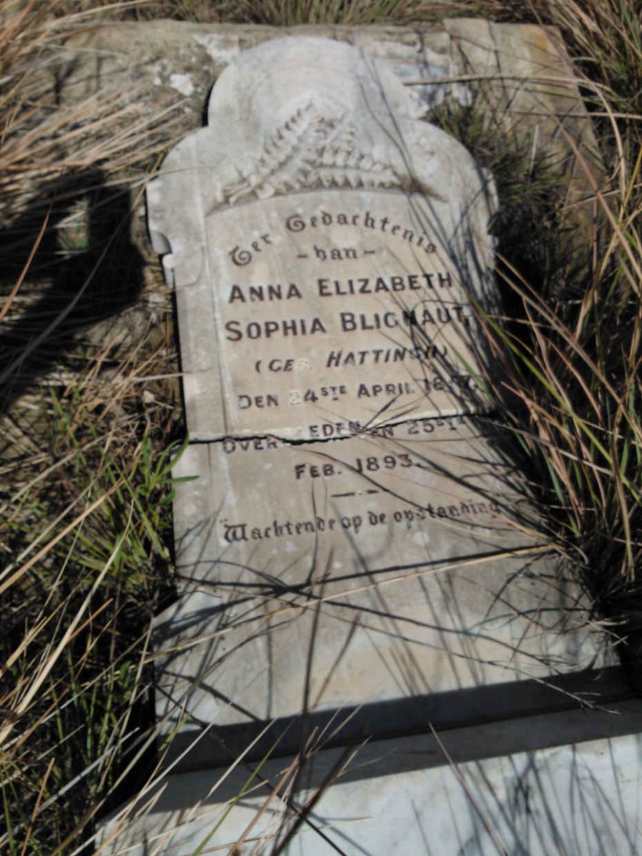 BLIGNAUT Anna Elizabeth Sophia nee HATTINGH 1857-1893