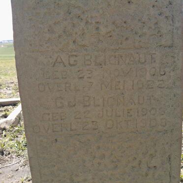 BLIGNAUT A.G. 1906-1922 :: BLIGNAUT G.J. 1908-1908