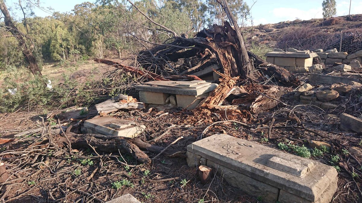 2. Overview / Oorsig