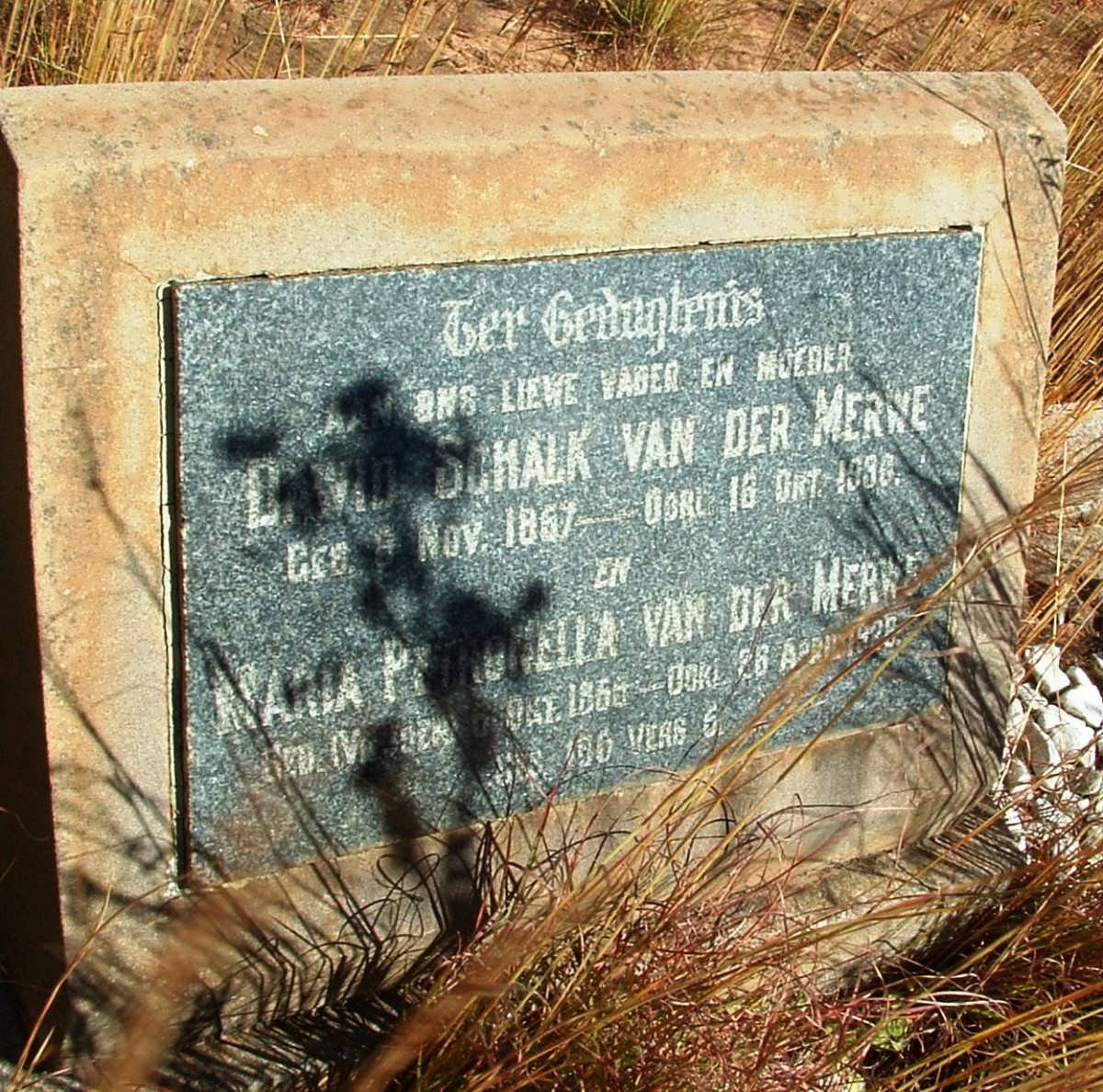 MERWE Dawid Schalk, van der 1857-1930 &amp; Maria Petronella VILJOEN 1856-1928