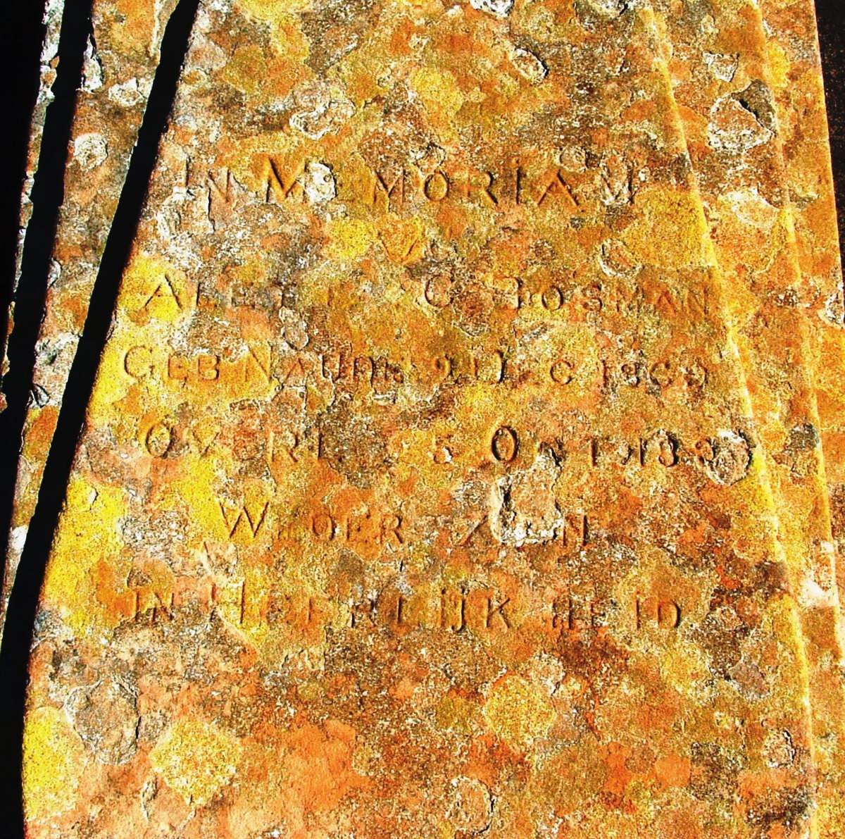 BOSMAN Aletta C. nee NAUDE 1869-1894