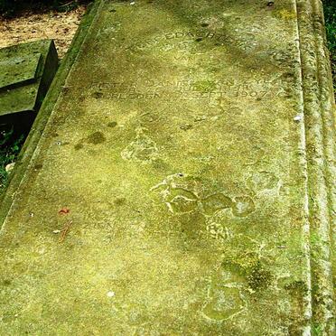 ZYL Pieter Daniel, van 1849-1907