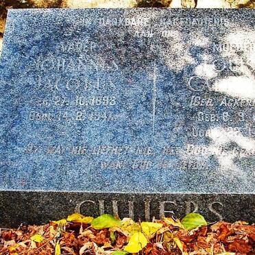 Free State, BETHLEHEM district, Golden Gate National Park, Wilgerhof, farm cemetery