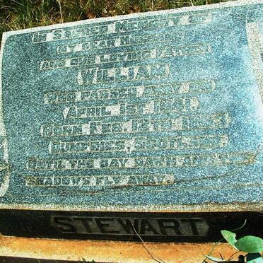 STEWART William 1863-1941