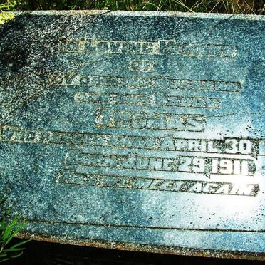 STEWARD Thomas 1911-1946