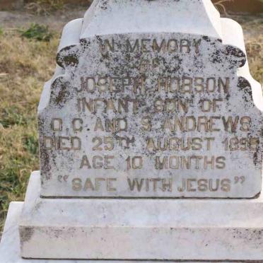 ANDREWS Joseph Hobson -1895