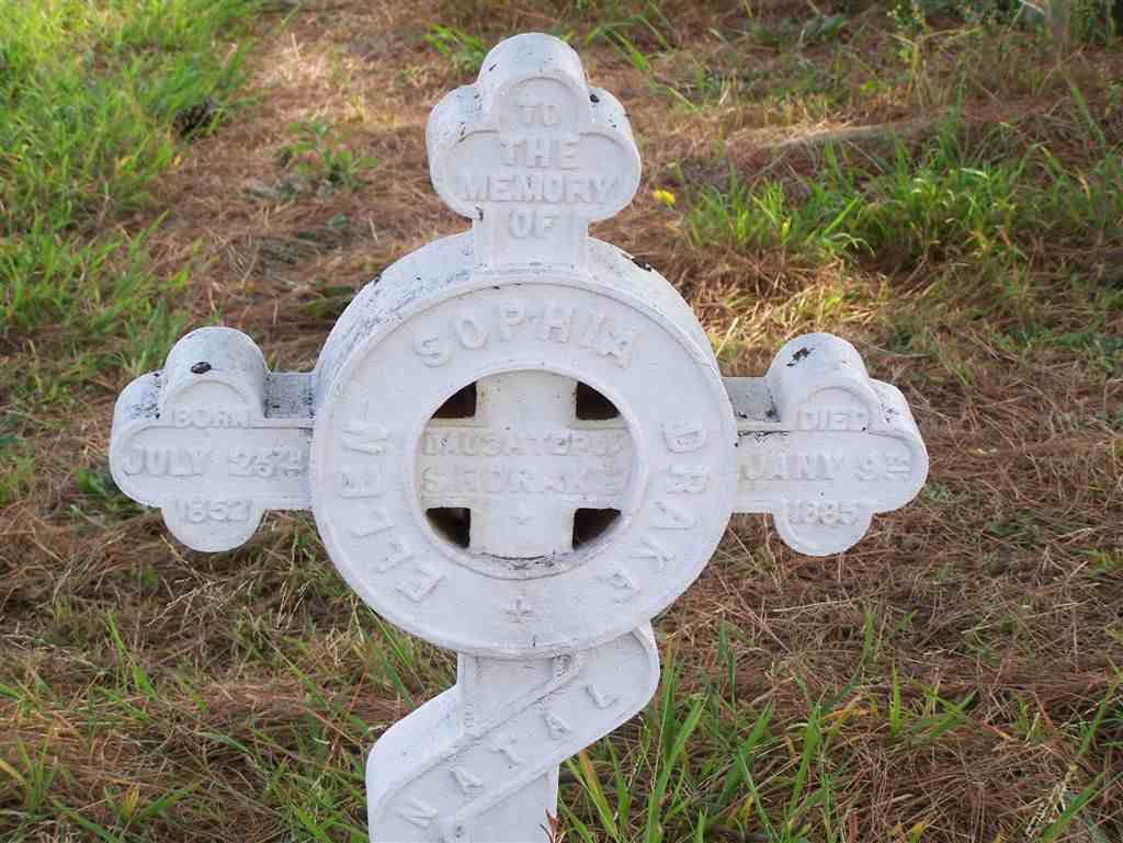 DRAKE Ellen Sophia 1852-1885