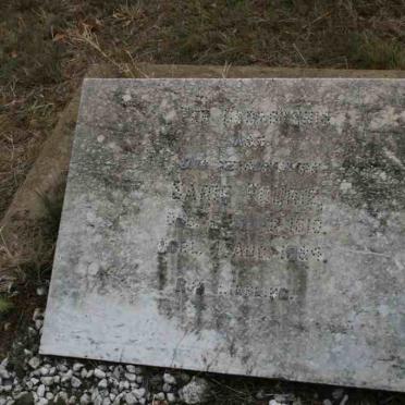 FOURIE Sarie 1910-1924