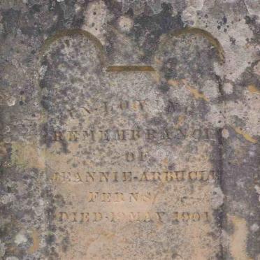 FERNS Jeannie-Arbuchle -1901