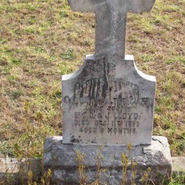 LLOYD George Walter -1895