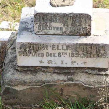 MISKIN Elizabeth Ann -1897