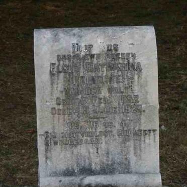 REINECKE Elsie Catharina nee VAN DER WALT 1852-1929