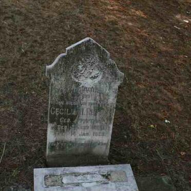 REINECKE Cecilia nee ANNADALE 1880-1928