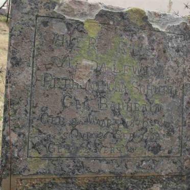 SCHUTTE Alida Lewisa Petronella nee BAUHRAIN 1870-1939