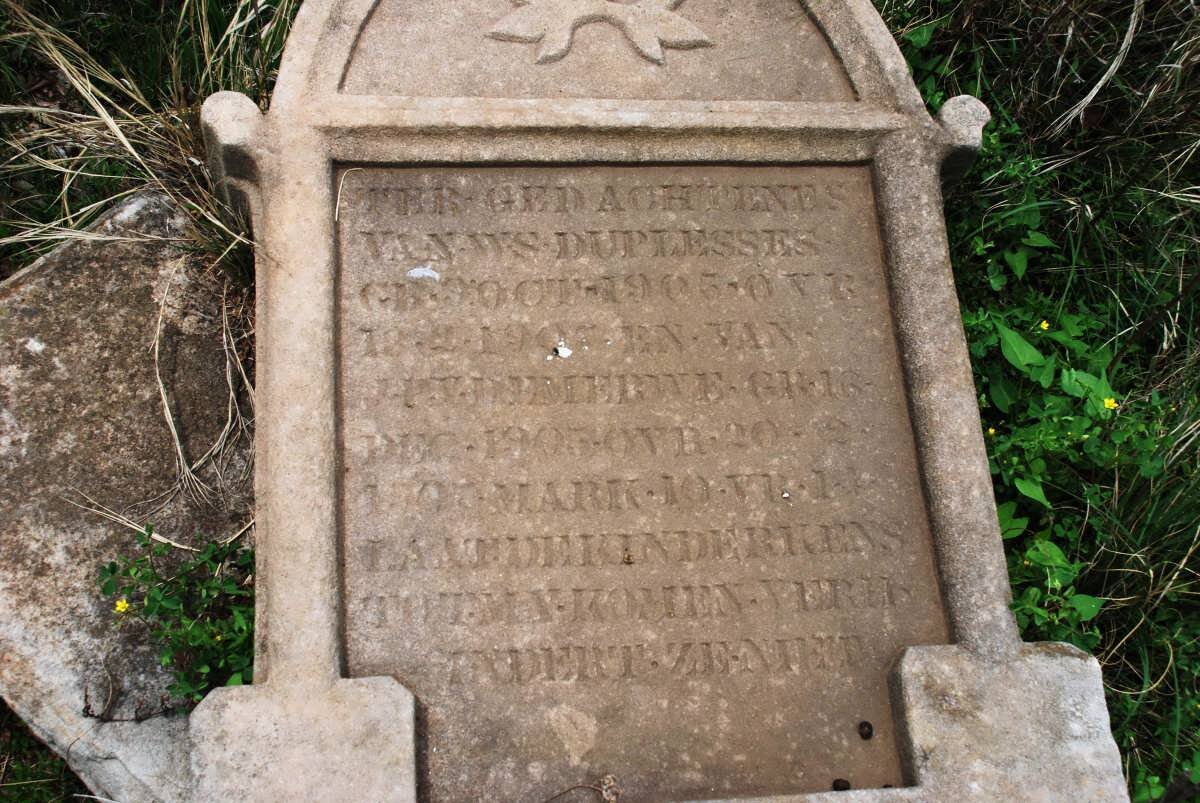 PLESSES W.S., du 1905-1905 :: V.D. MERWE J.P. 1905-190?