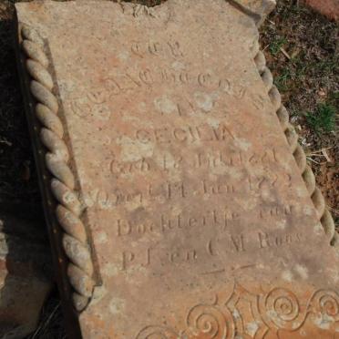 ROOS Cecilia 1881-1882