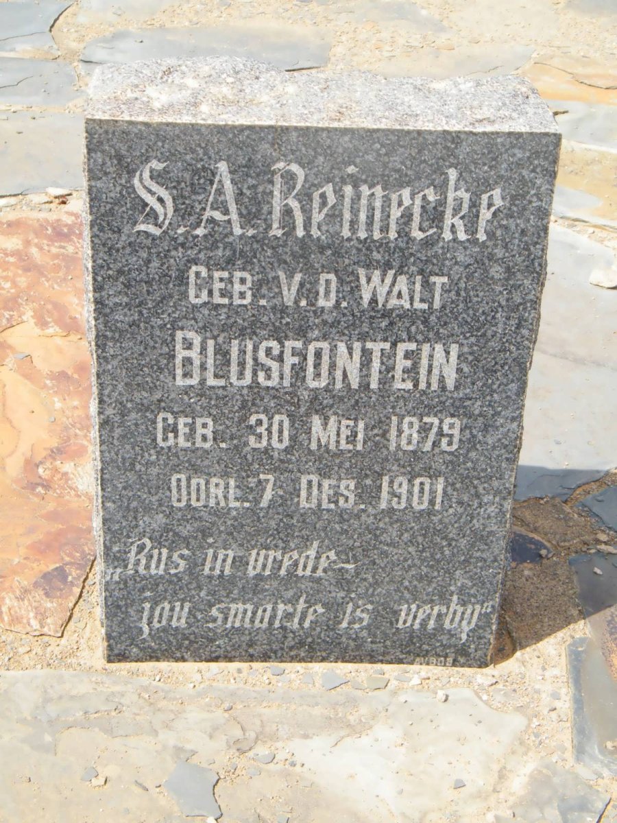 REINECKE S.A. nee V.D.WALT 1879-1901