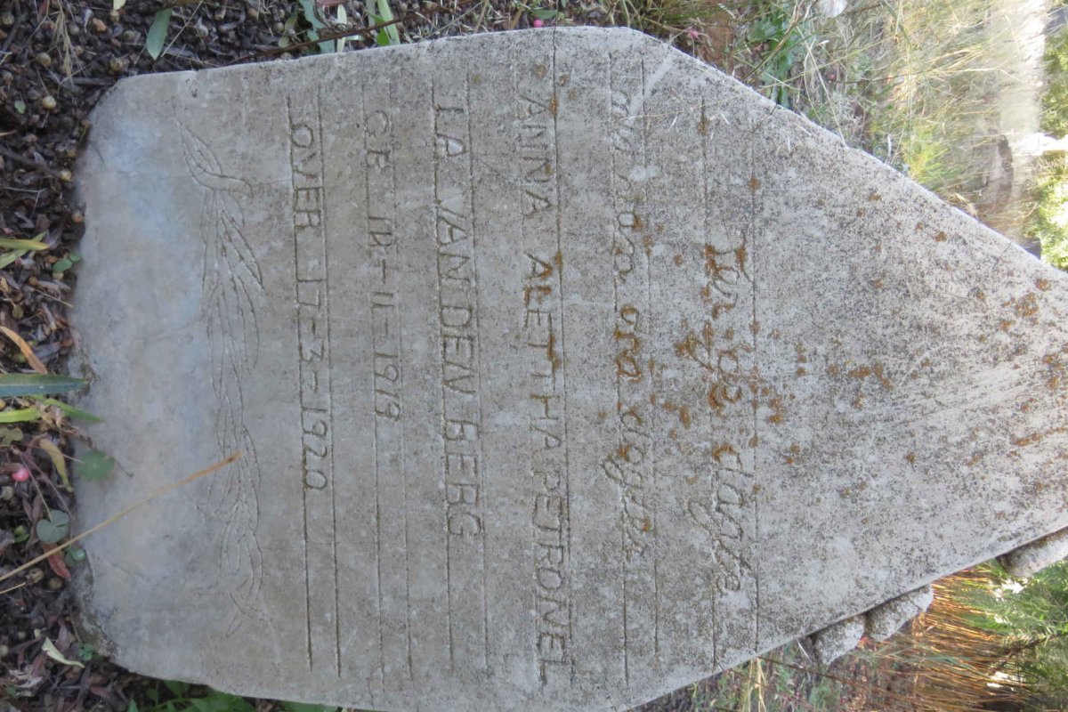 BERG Anna Alettha Petronella, van den 1919-1920