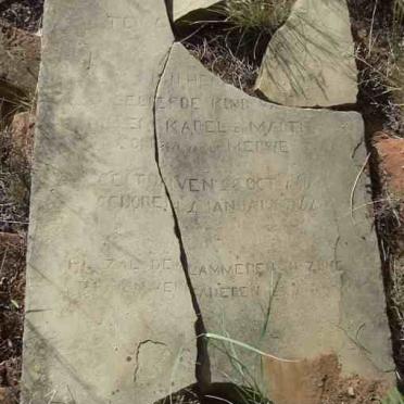 MERWE Jan Hen?, van de 1860-1861